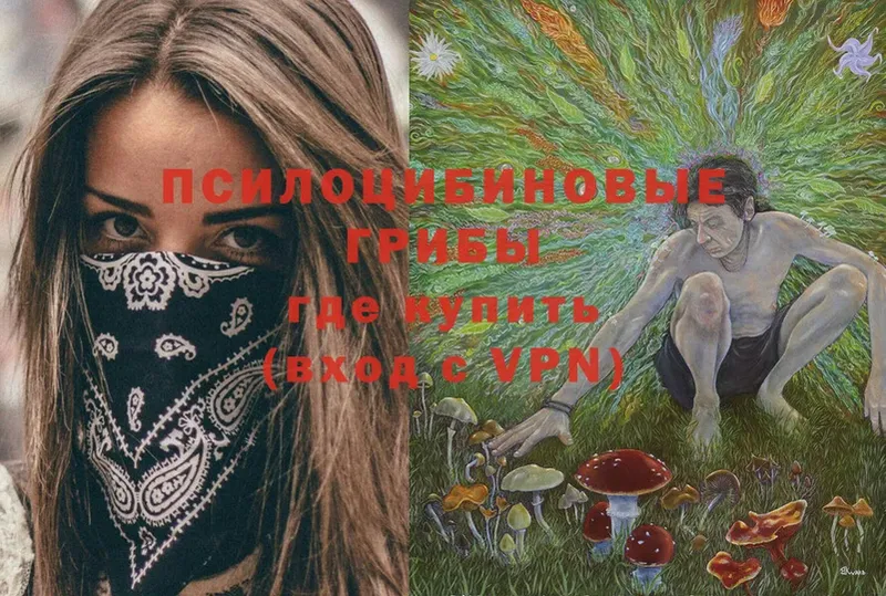 blacksprut зеркало  Шатура  Галлюциногенные грибы Magic Shrooms  купить  